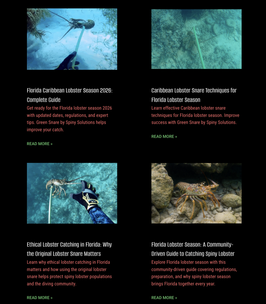 Spiny Solutions Blog Page
