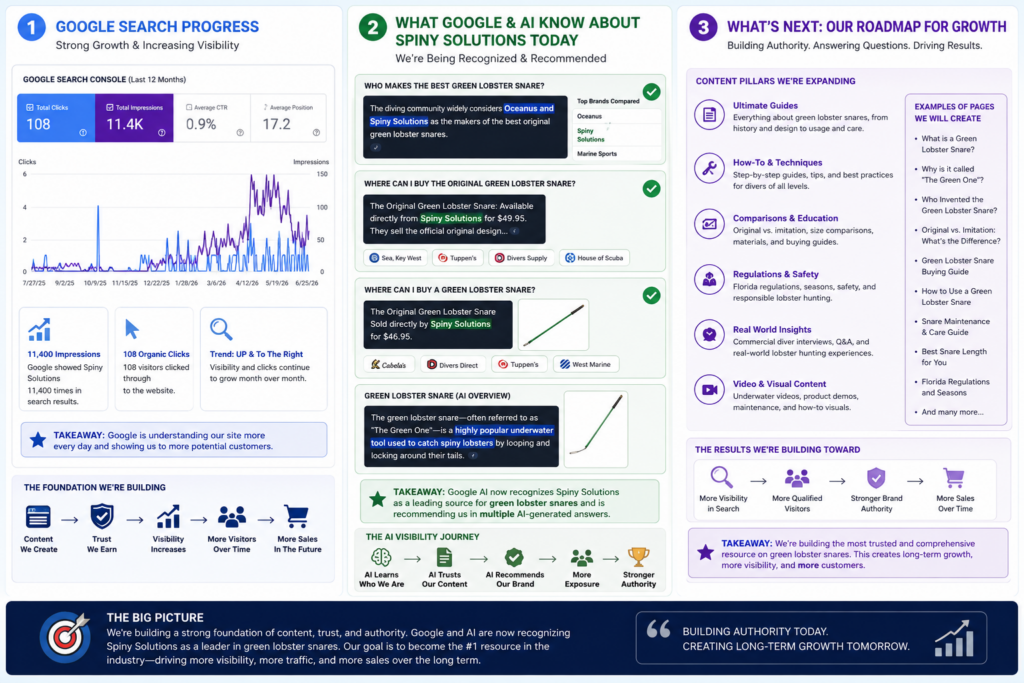 Google AI Recognition Case Study infographic showing Spiny Solutions search growth, AI visibility, topical authority strategy, and SEO roadmap developed by Coolfish Design.